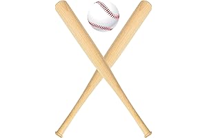 Wettarn Mini Baseball Bats: Unleash Creativity and Home Run Fun
