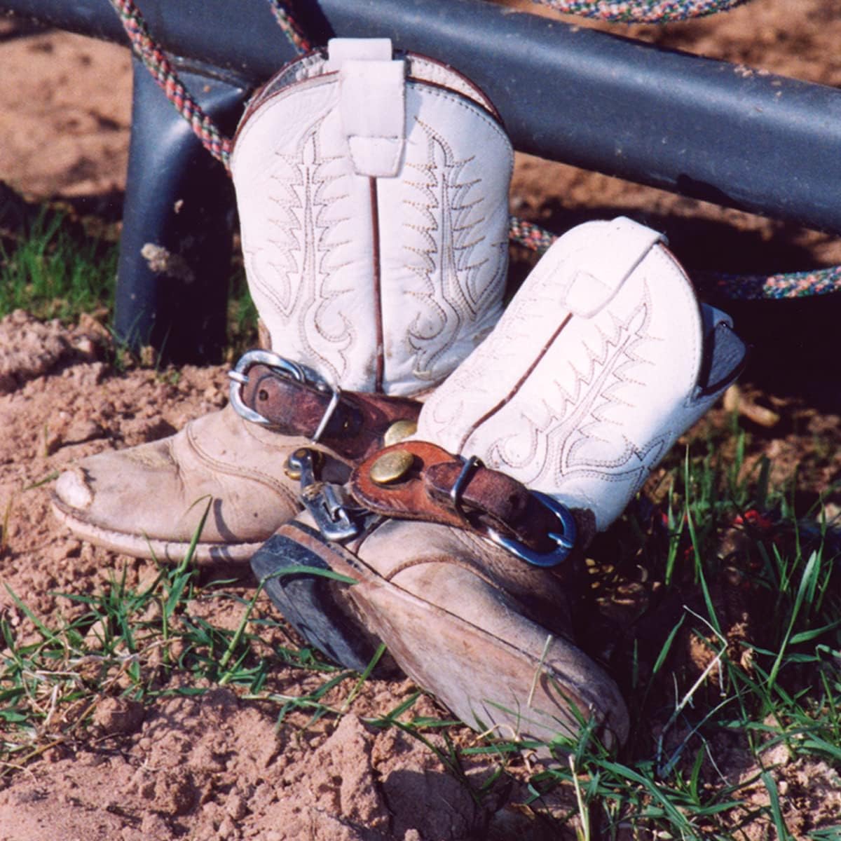 Martin Saddlery Kid's Latigo Saddlery Spur Strap Brown