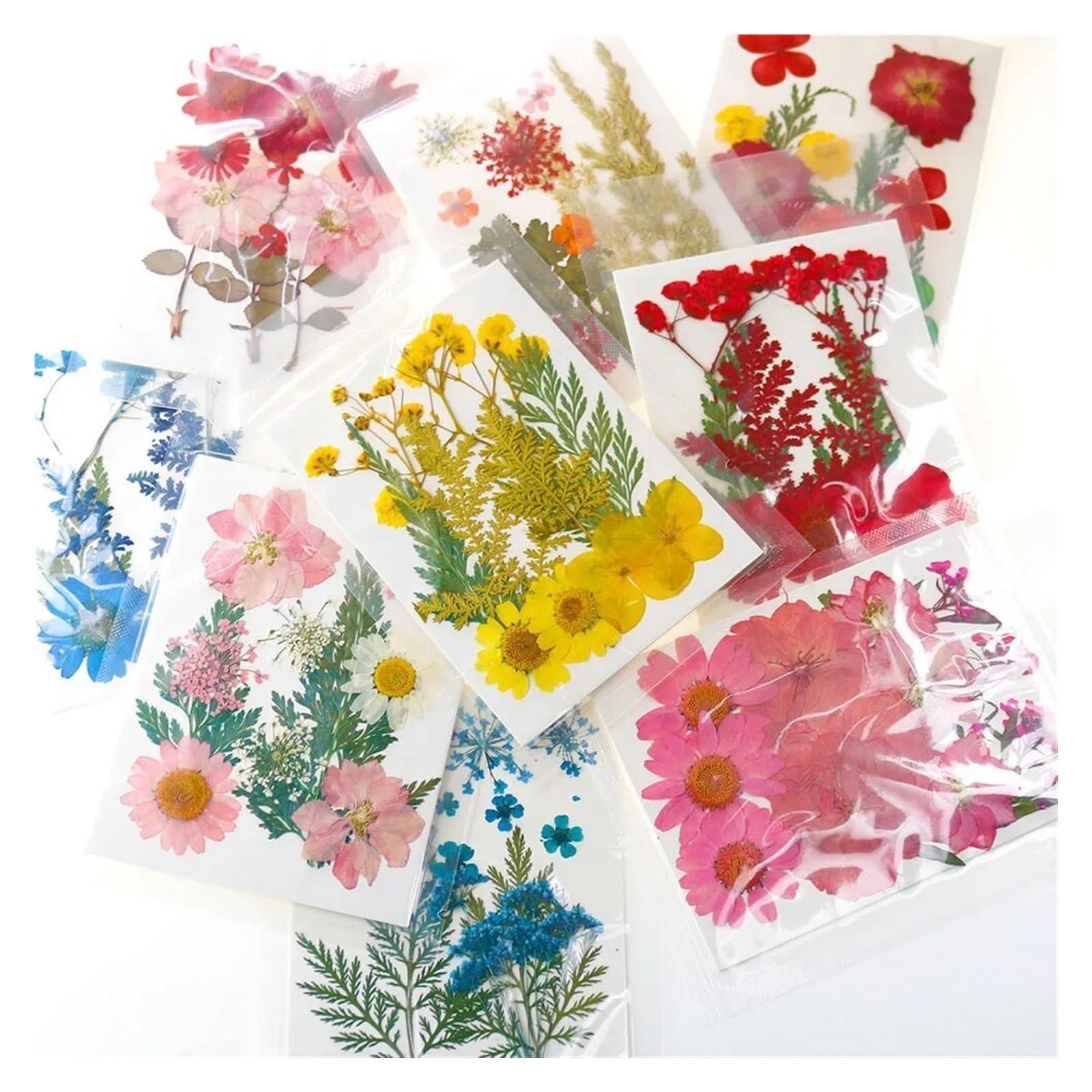 HBALDTEDC Getrocknete gepresste Blumen, 1 Packung Trockenblumen Trockenpflanzen for Harzformen Füllungen Epoxidharz Handwerk DIY Nail Art Dekoration Gepresste Blumen