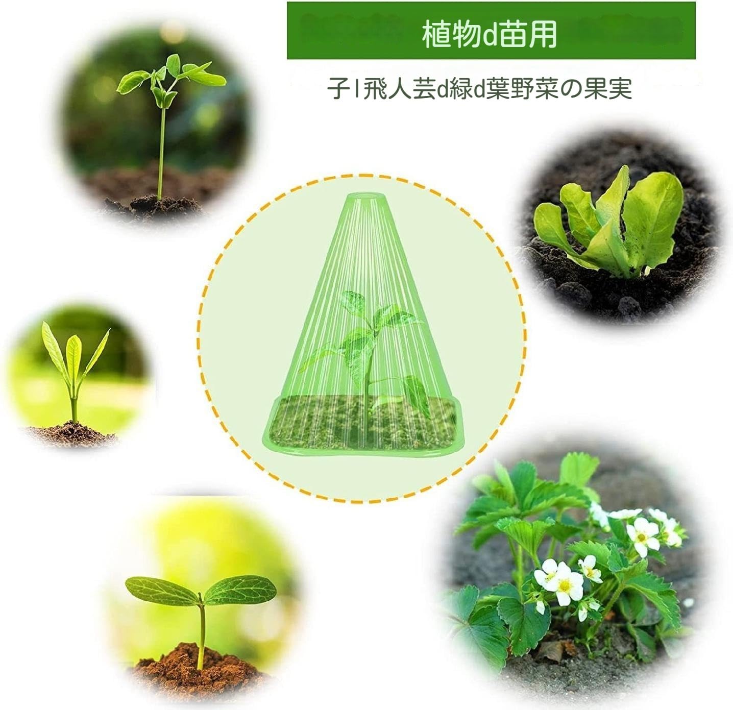 Amazon.co.jp: 20個 苗カバー 植物 カバー 苗ポット 育苗セット 深型