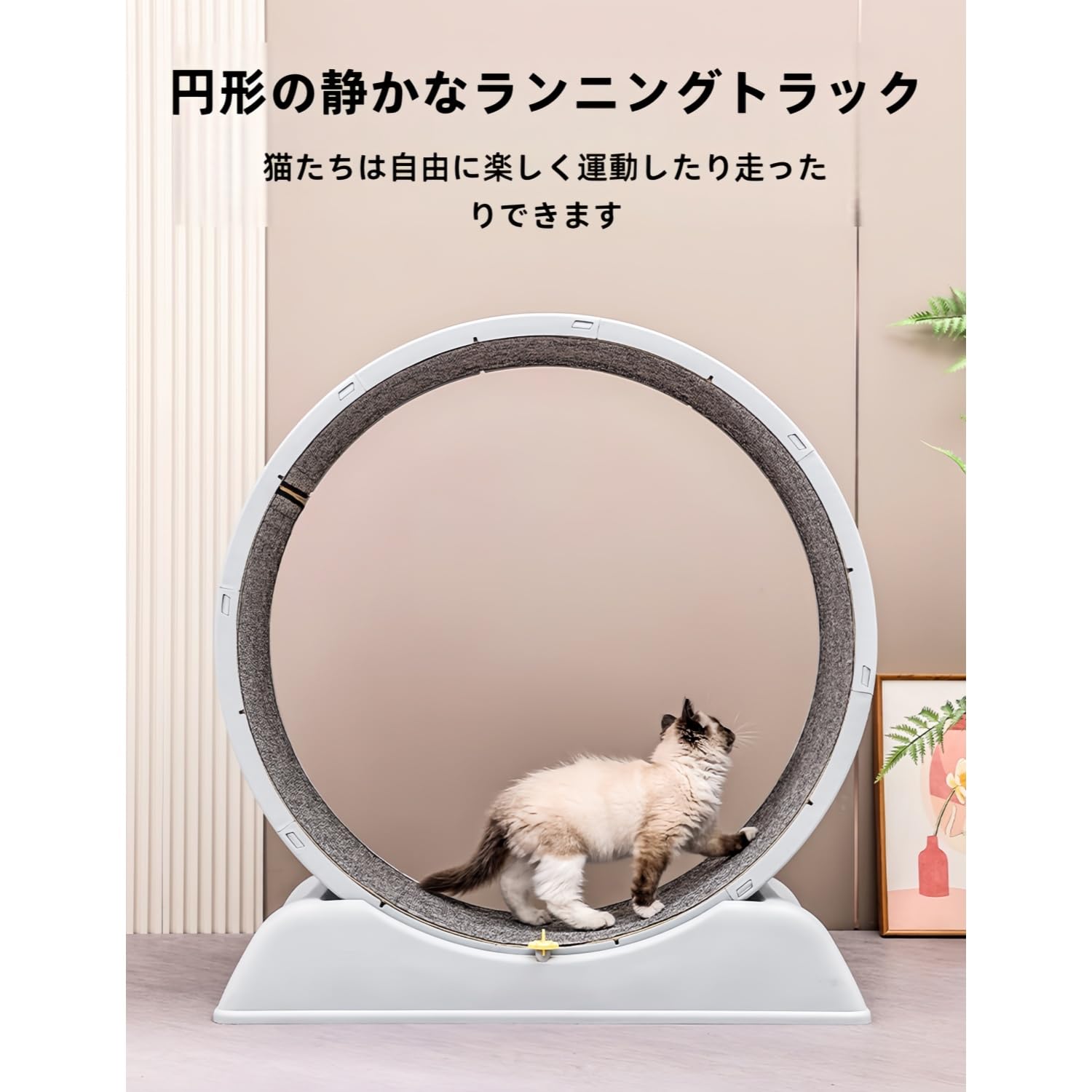 新品　未開封　ペット用　ランニングホイール Amazon | Stewlt ペット用トレッドミル ランニングホイール サイレント