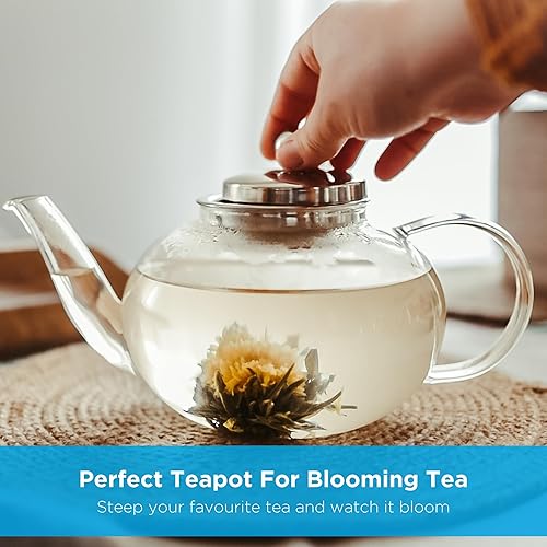 Miniatura 6 de GROSCHE - Joliette - Tetera de vidrio de borosilicato con infusor de acero inoxidable - Tetera de vidrio de 5 tazas con colador extraíble para hojas