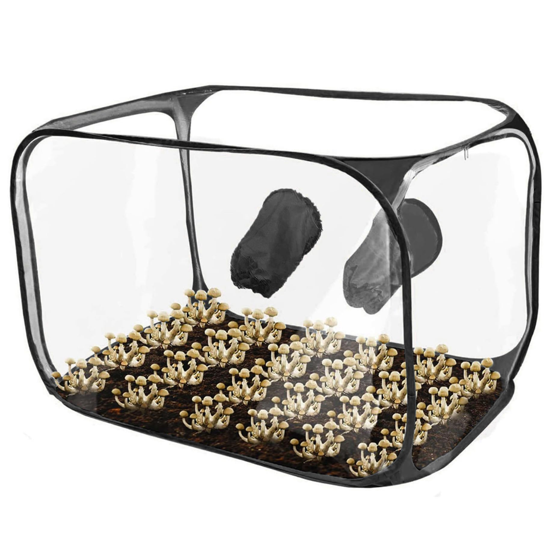Tente de culture champignons pliable à double emmanchure et fermeture éclair