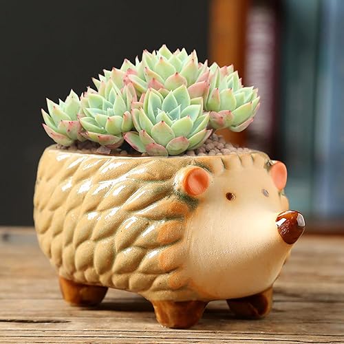 Miniatura 8 de Macetas de cerámica con forma de animal lindo cactus suculento con bandeja (planta no incluida) (pequeño, pato)