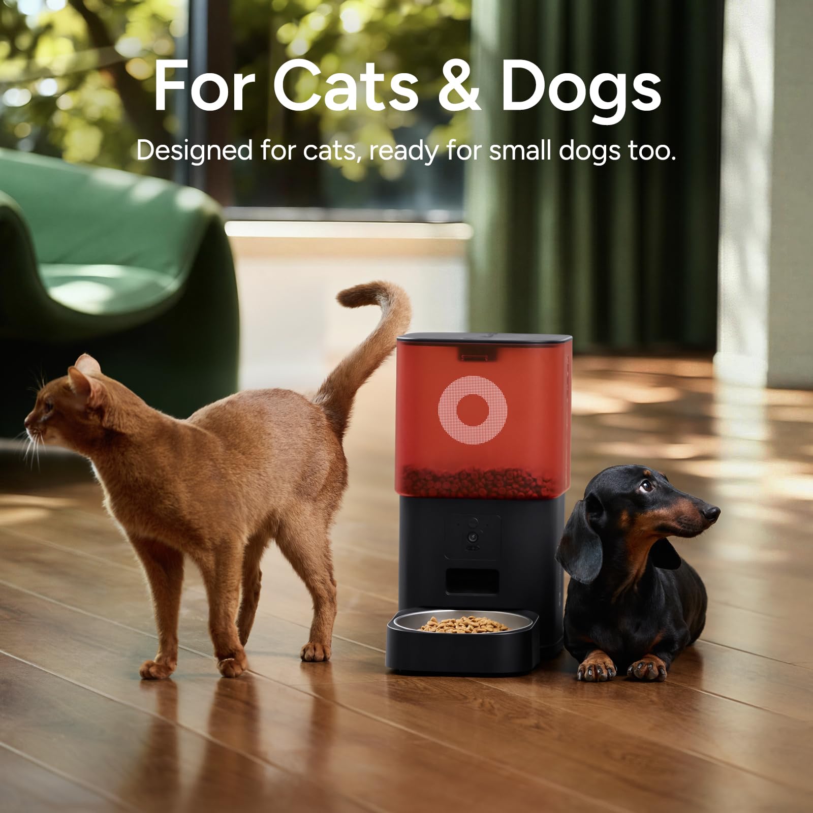 Comedero automático para Gatos con cámara: dispensador de Comida para Gatos con Comida Grande de 6 L para Gatos y Perros pequeños (Blanco y Rojo)