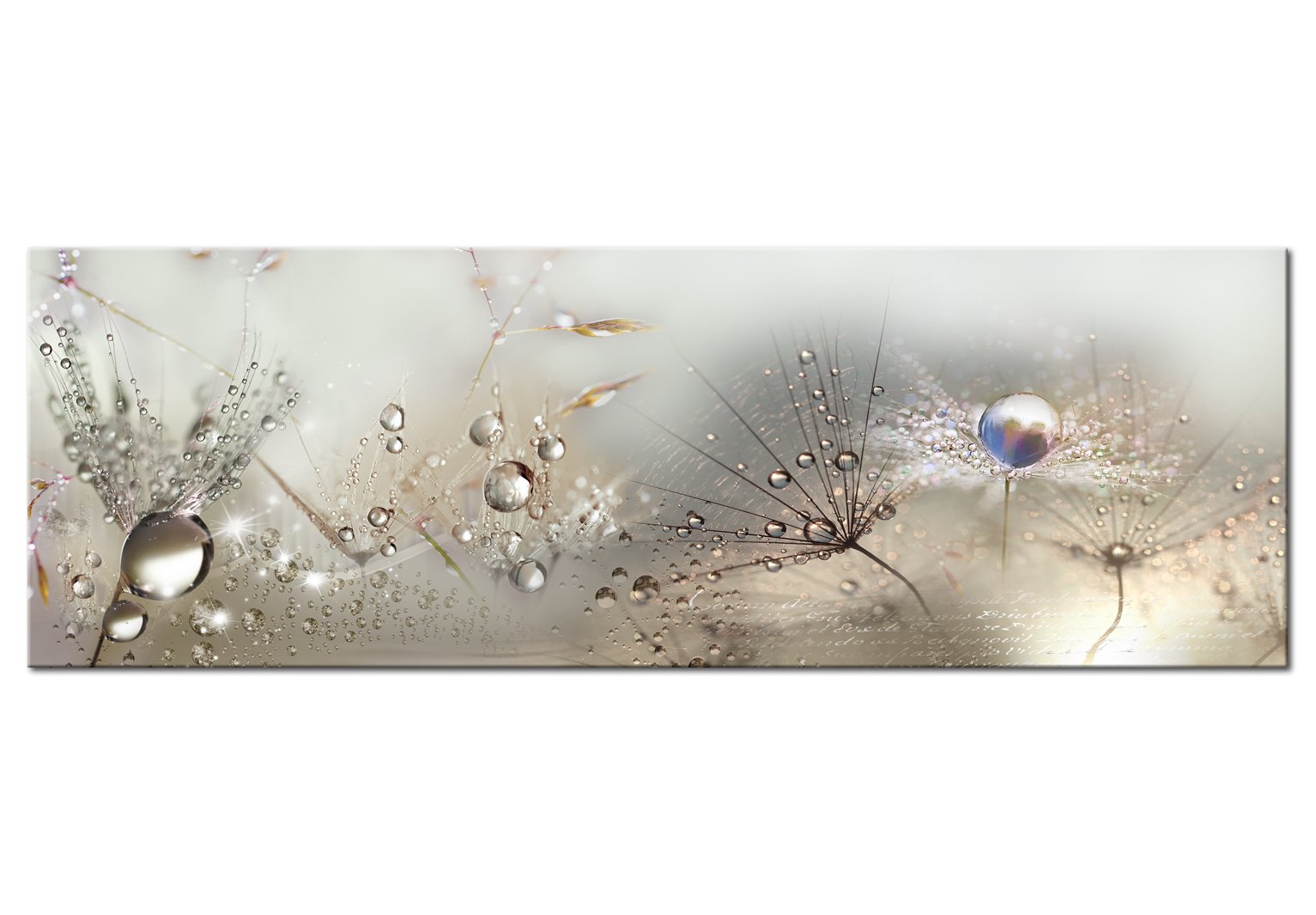 murando - Leinwandbild Blumen Natur Grau, 150x50 cm, 1-teilig, Schlafzimmer