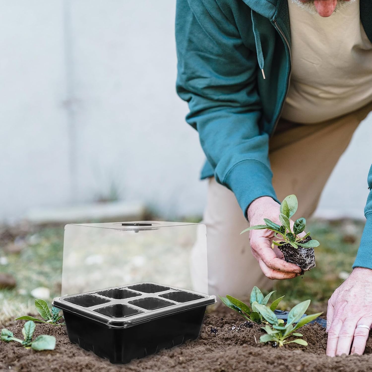 Seed Starter Tray Set with Ventilated Humidity Dome and Labels for Indoor Gardening, 6-Cell Black Plastic Propagation Kit, Space-Saving Germination Box for Vegetable and Flower