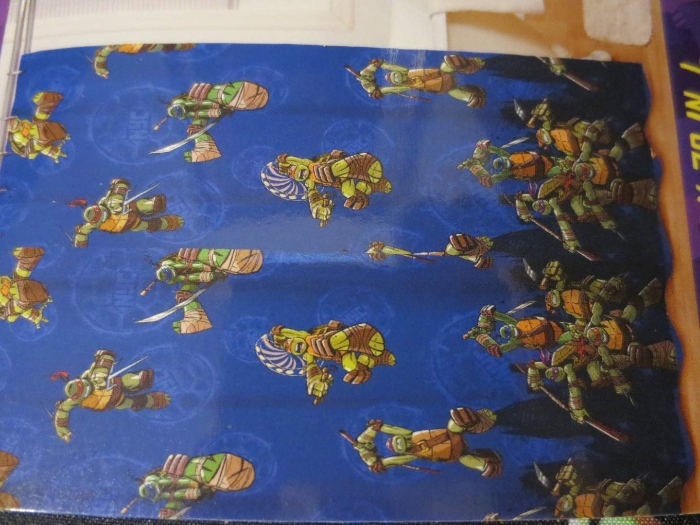 Teenage Mutant Ninja Turtles Shower Curtain