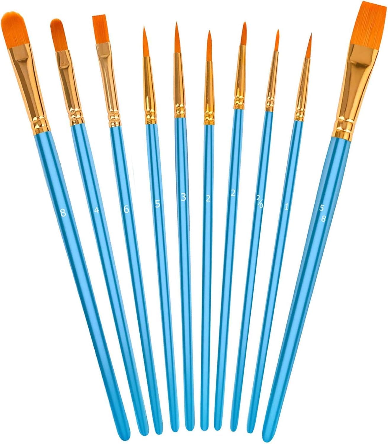 Soucolor Paint Brush Set - 20 Brushes -12 Soucolor Paint Brush Set - 20 Brushes -12