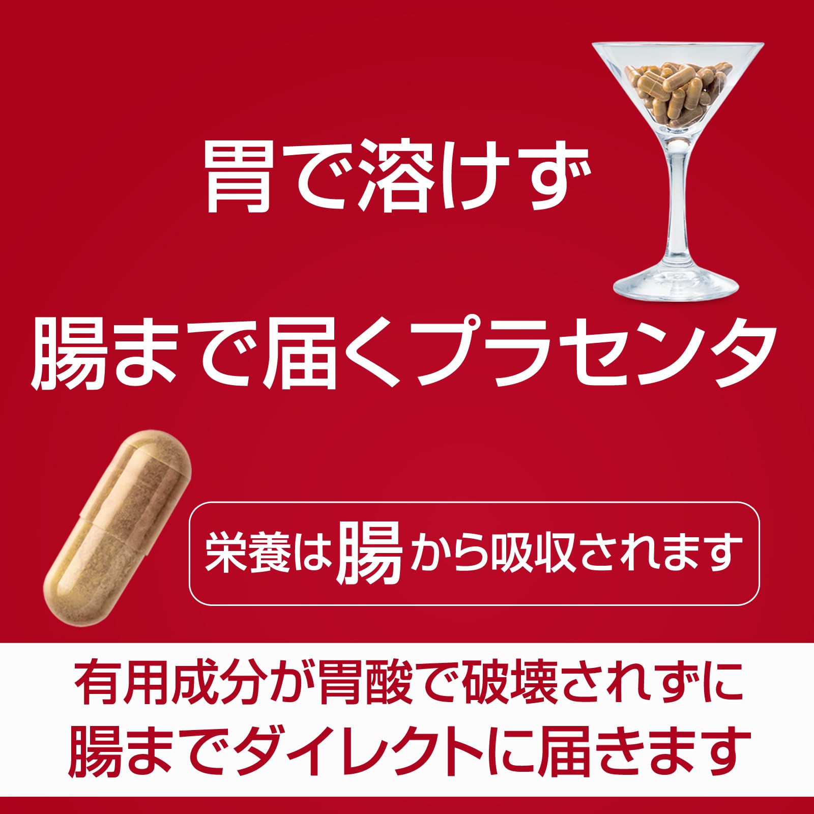 Amazon | CELELABO(セレラボ) プラセンタ 馬 サプリ 人気 美容 高級