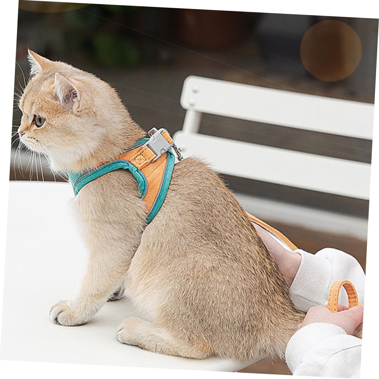 Happyyami 3juegos Arnés Reflectante Ajustable para Gato Correa Arnés De Suede y Ligero para Pasear Mascotas para Gatos Pequeños y Kittens