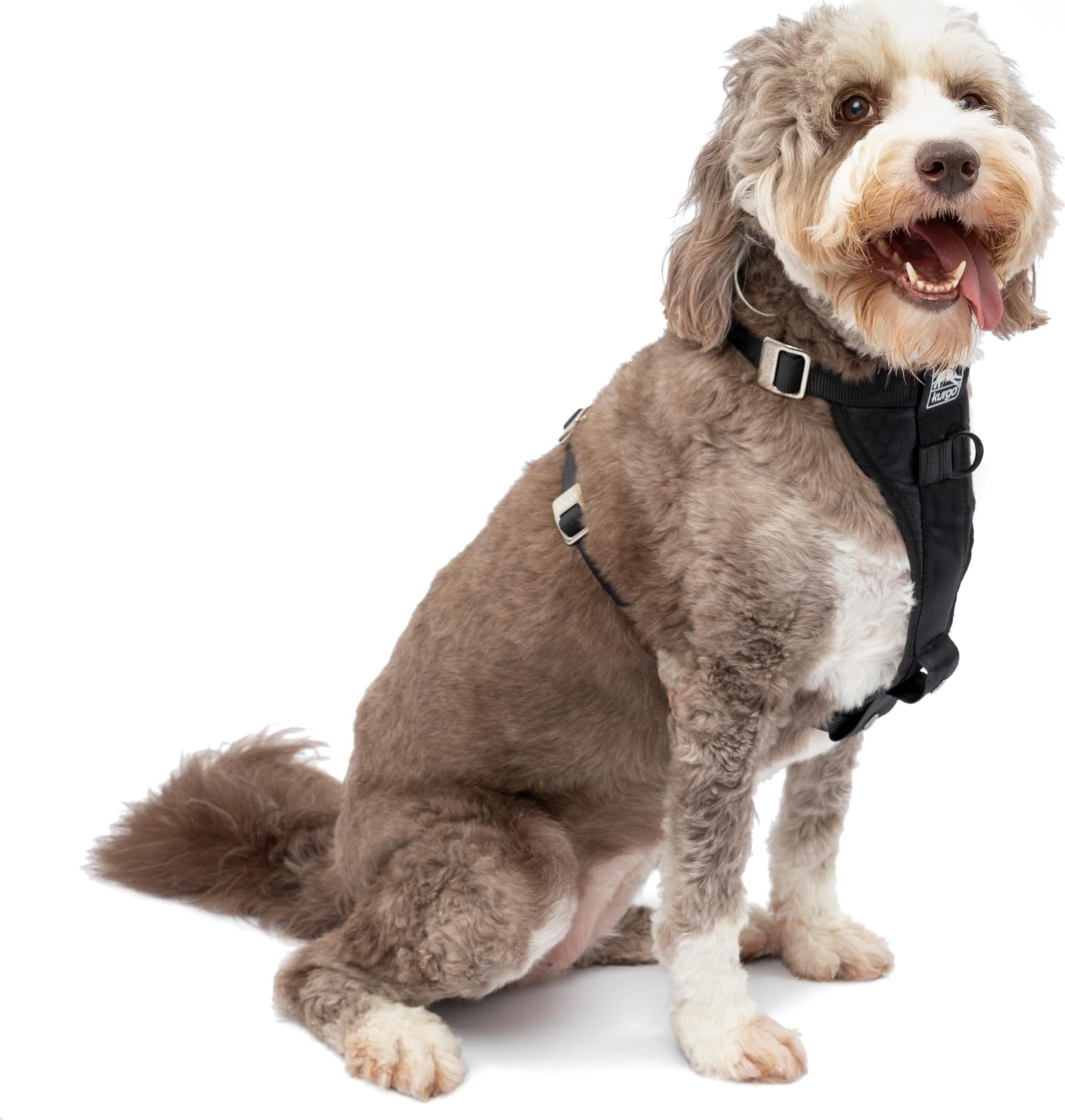 Kurgo Enhanced Strength Tru-Fit Smart Harness
