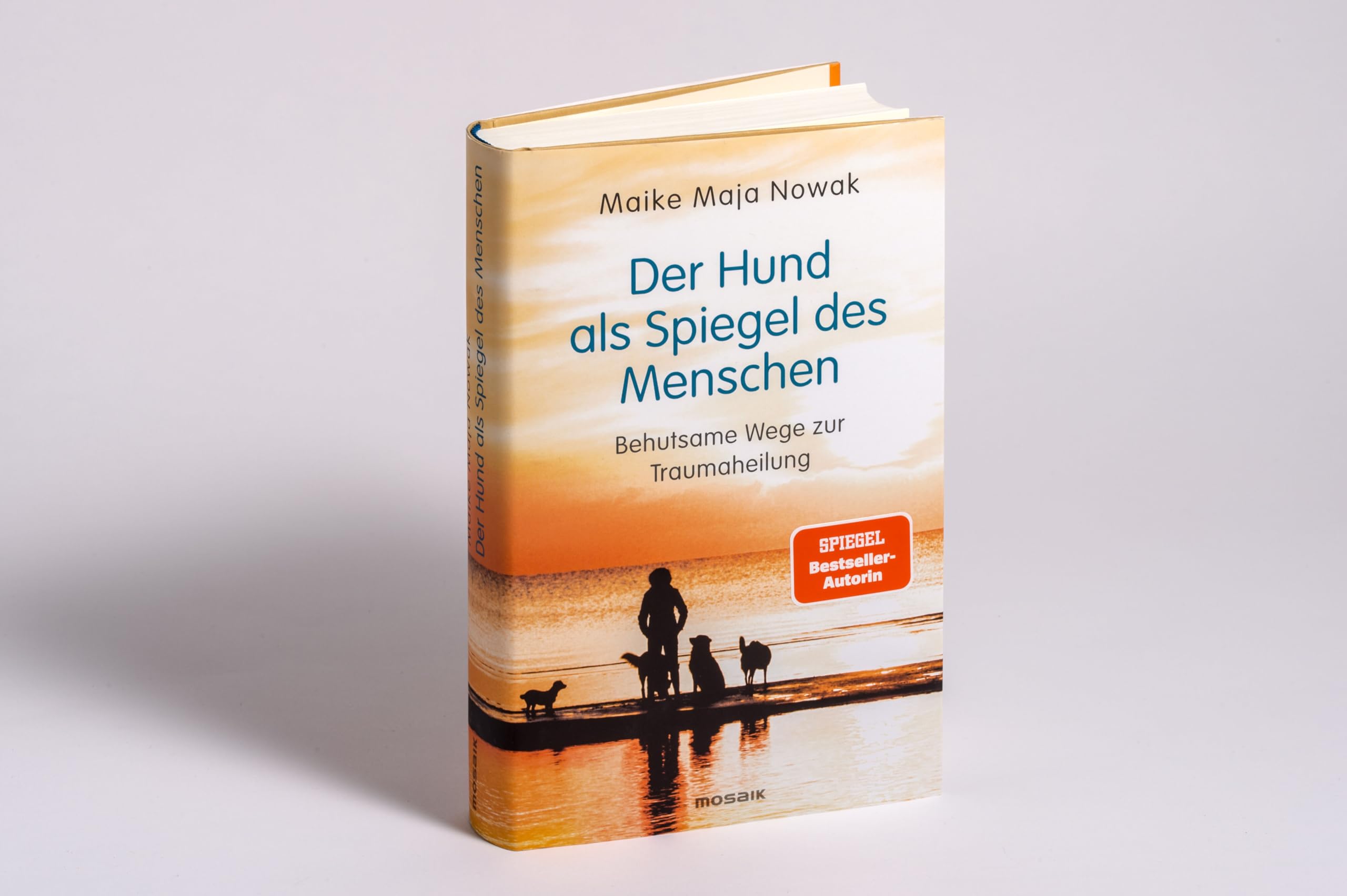 Der Hund als Spiegel des Menschen: Behutsame Wege zur Traumaheilung