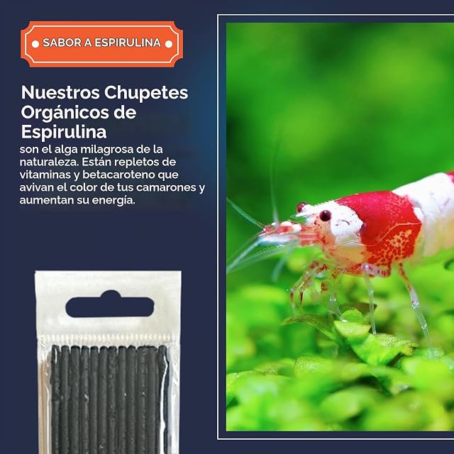 Foto 3 de 8 de 12 Lollies de espirulina para camarones de acuario/alimentación para camarones de acuario