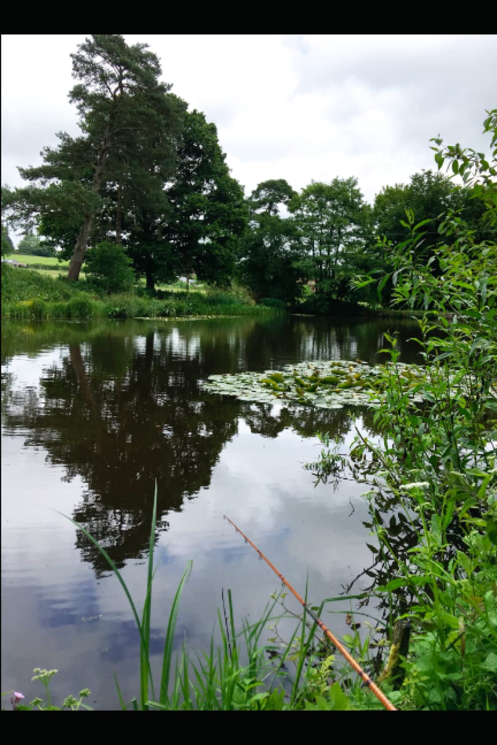 The Saxon Ponds: An Ancient Fishery Re-born
