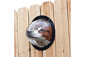 PetPeek Fence Window Bubble for Dogs