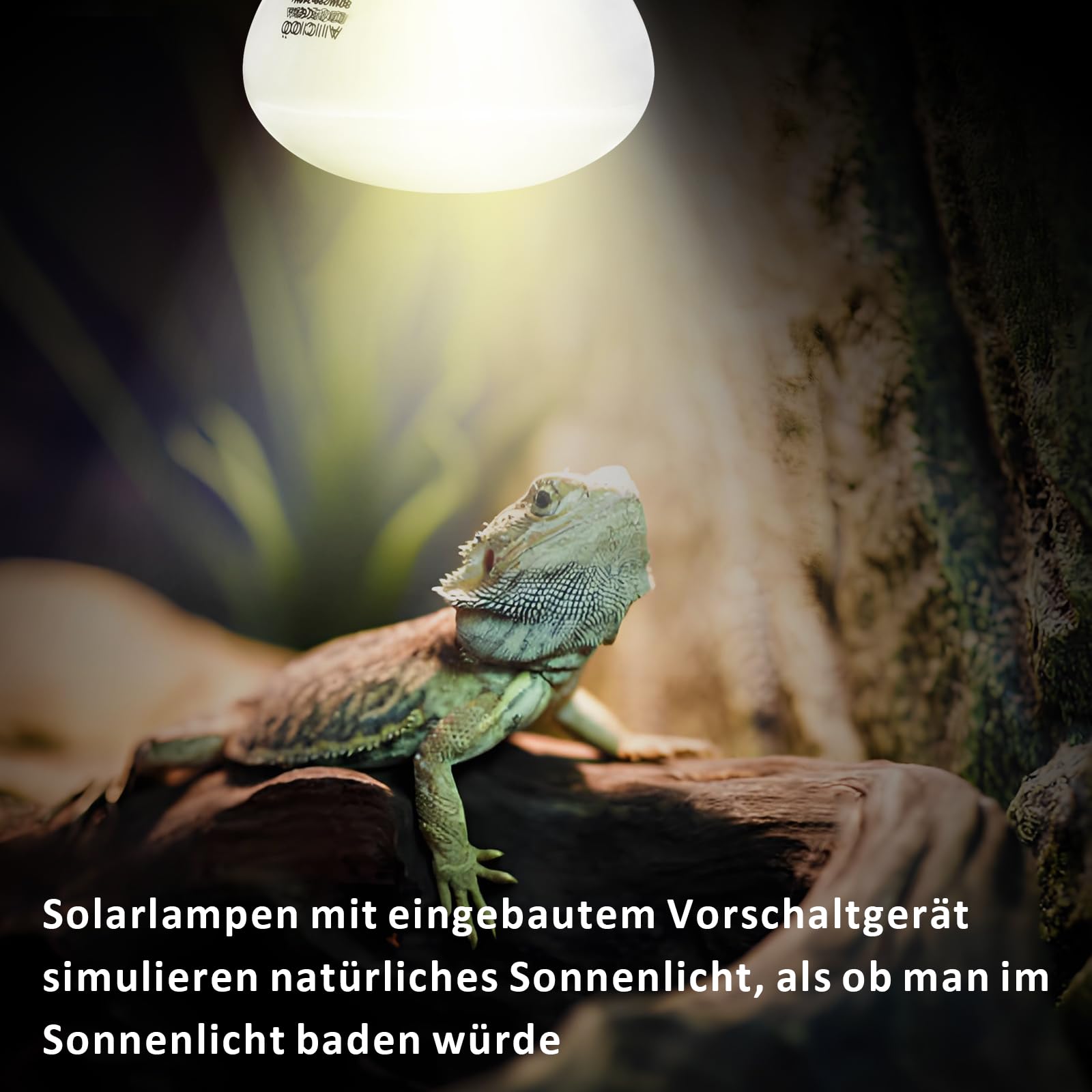 AIICIOO UVA UVB Lampada termica per rettili Luce solare UV Lampada per terrario Lampada di luce solare rivestita E27 Luce diurna per rettili per tartarughe serpenti pogone lucertole 160W