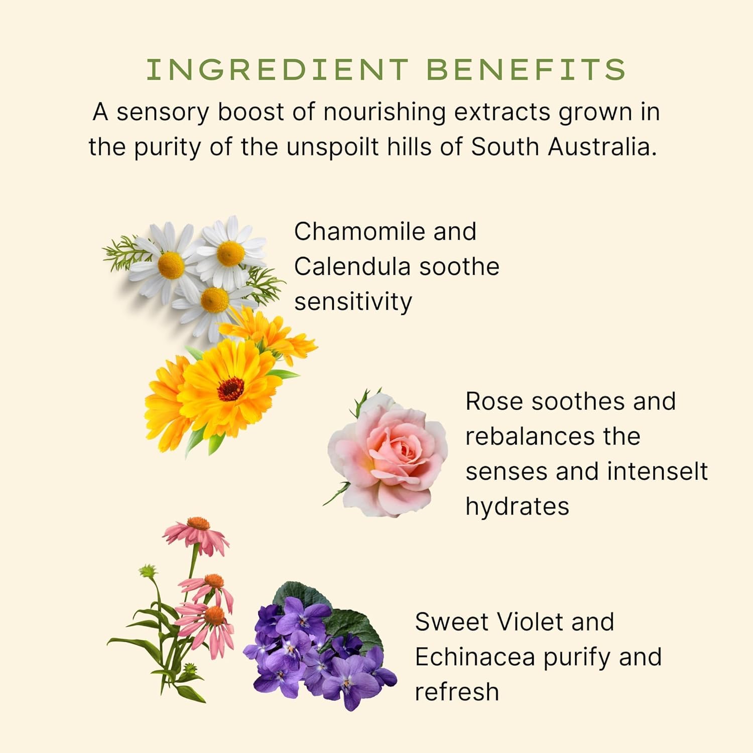 Jurlique - Rose Hand Wash