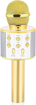Babilden C-8501 Karaoke Mikrofon Bluetooth USB & TF & Aux (Gold)