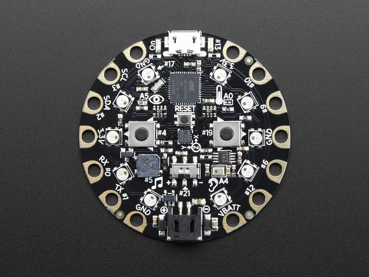 Adafruit Circuit Playground - Developer Edition - Image 4