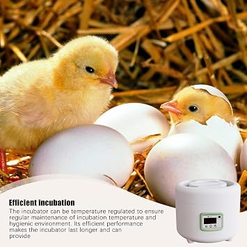 General Purpose Hatching Egg, Chicken Hatching Egg | Fully Automatic Breeder Rice Cooker 9 Point Incubator Mini Household Fully Automatic Incubator, Portable Automatic Egg Incubator Automatic Egg
