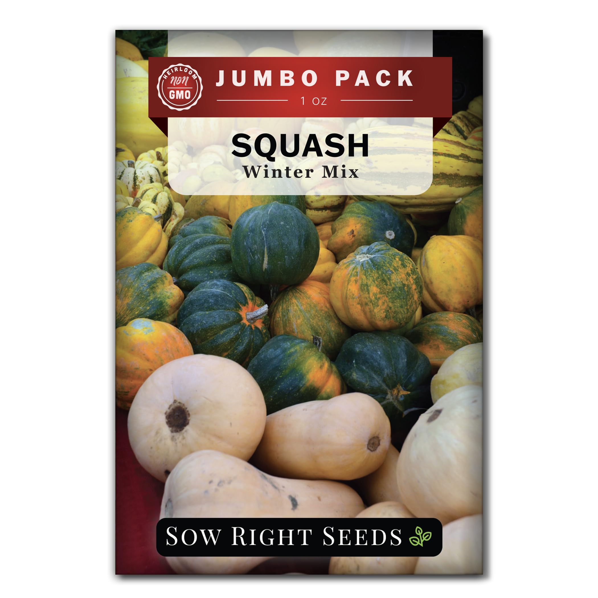 Sow Right Seeds - Bulk Mixed Winter Squash Seeds for Planting - 1 Ounce, 200 Seeds - Non-GMO Heirloom Jumbo Pack with Instructions to Plant a Home Vegetable Garden - Grow Loads of Large Squashes