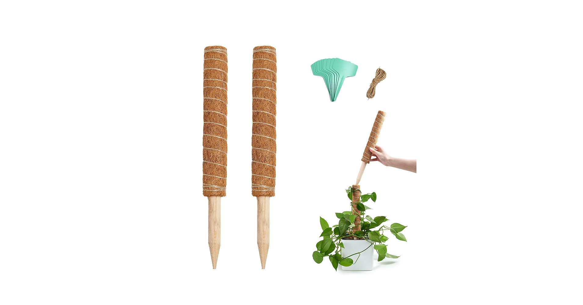 ミ*ミ様 MOSS STICK U5 154cm ミ*ミ様 MOSS STICK U5 154cm 1PC Moss Pole Bendable Plant