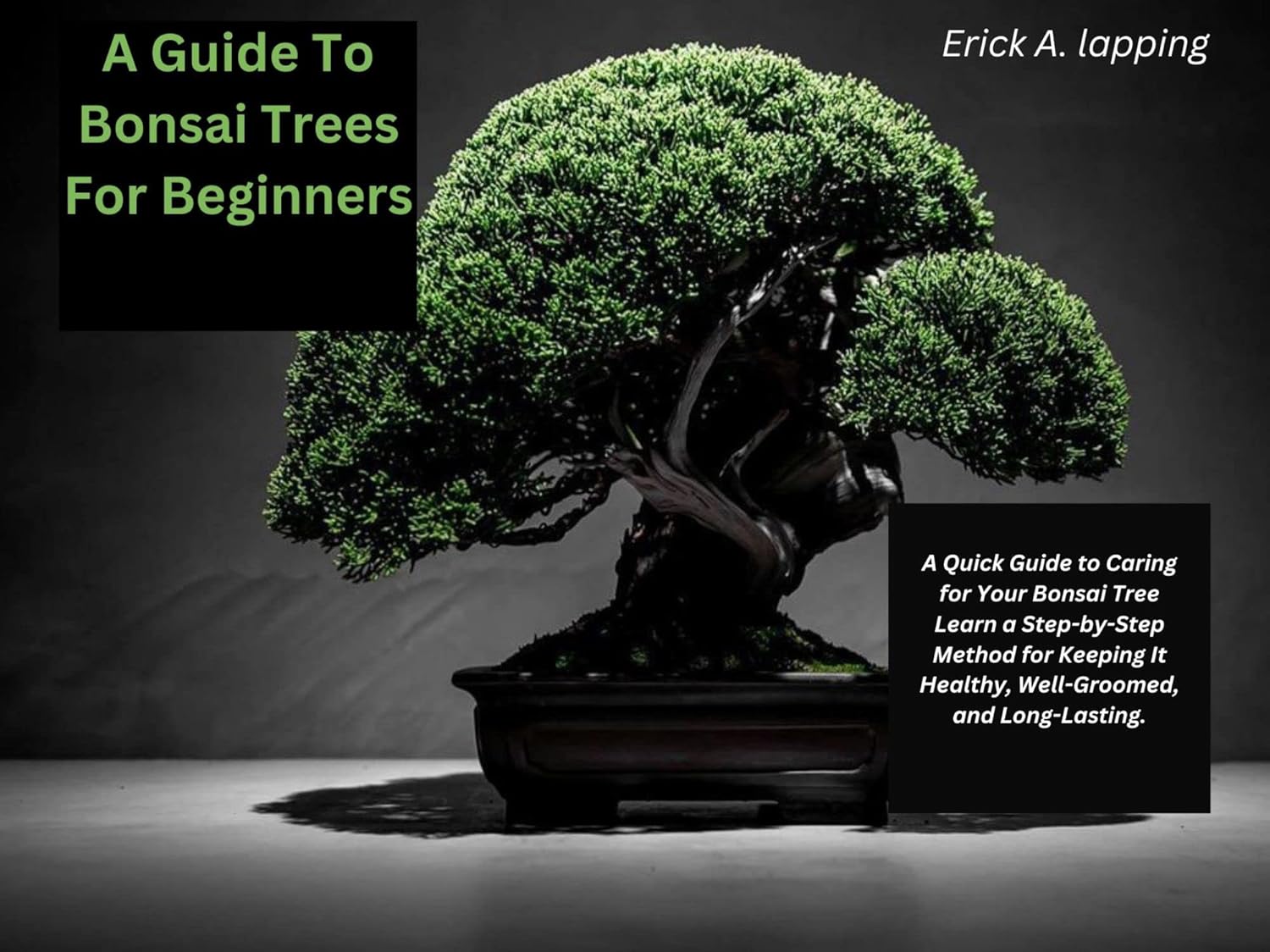 A Guide To Bonsai Trees For Beginners A Quick Guide to