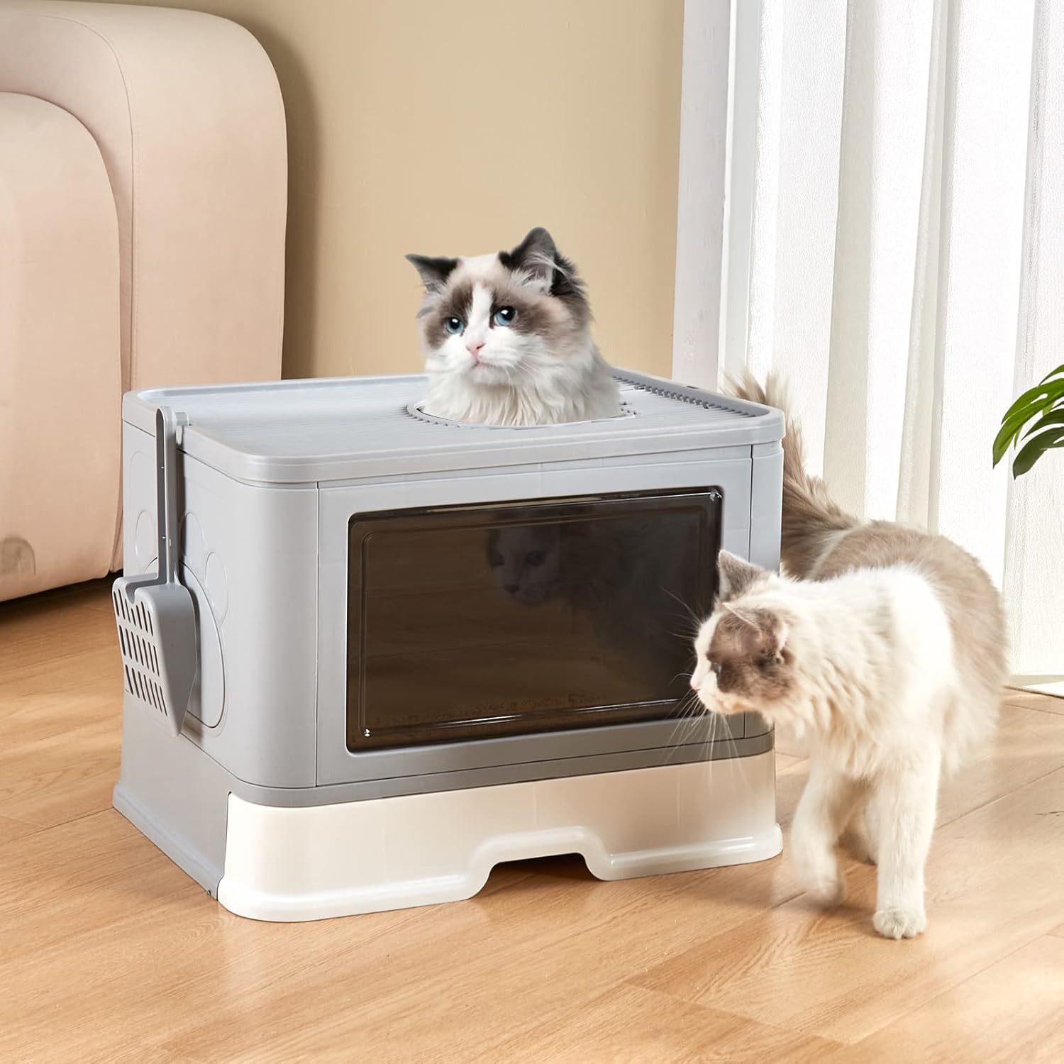 TUOKE Cat Litter Box Foldable Cat Litter Tray, Top Entry Cat Litter Box