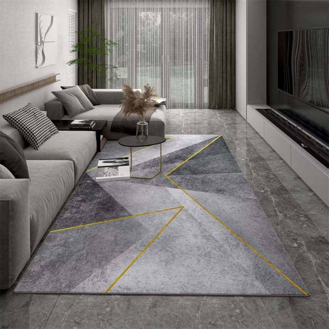 Tapis de salon gris doux moquette interieur 130X190CM d'étude