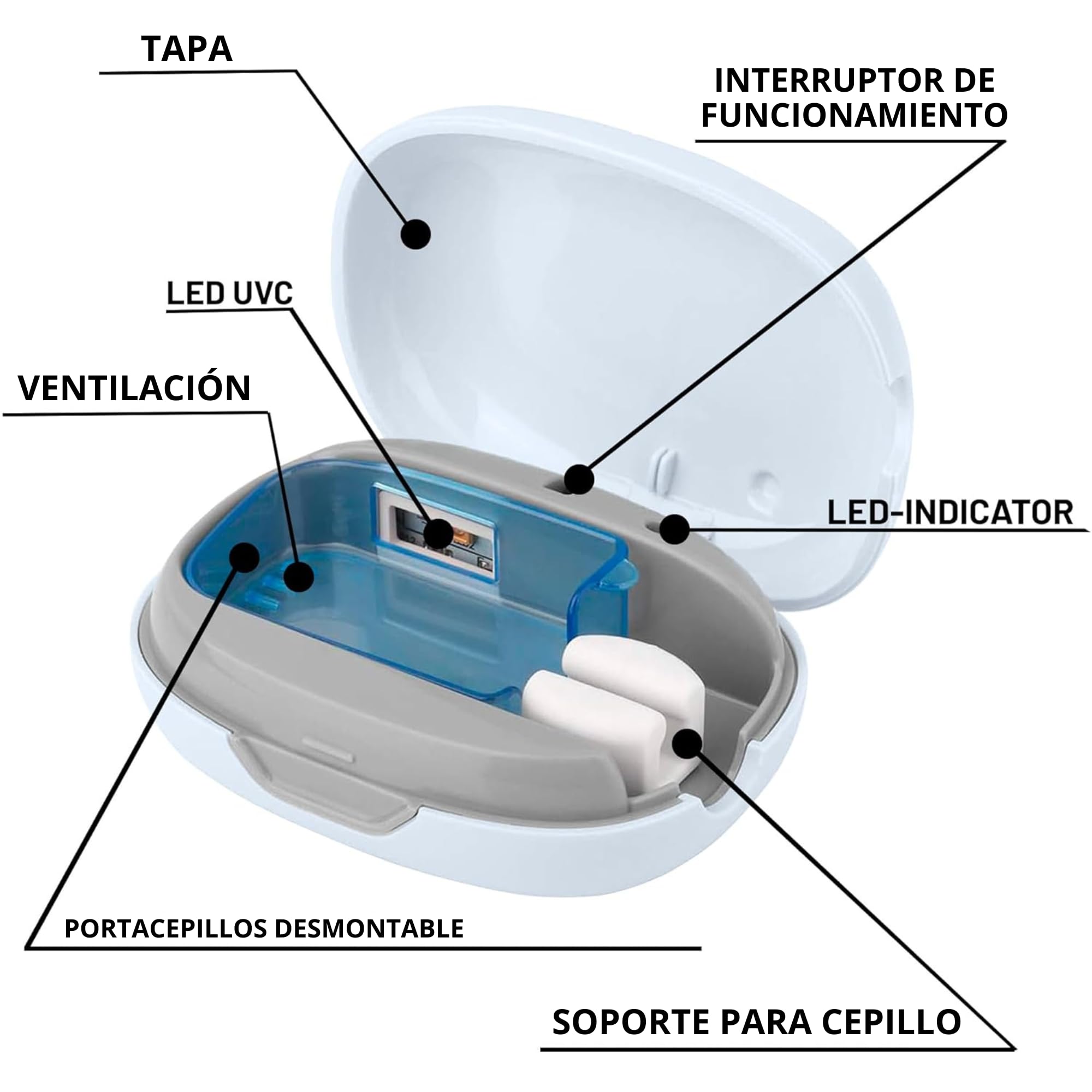Esterilizador Cepillo Dientes Portátil UV Recargable | Higienizador Cepillo Dientes USB - Esterilizador Dental Ultravioleta y Estuche para Viajes, Hogar y Oficina