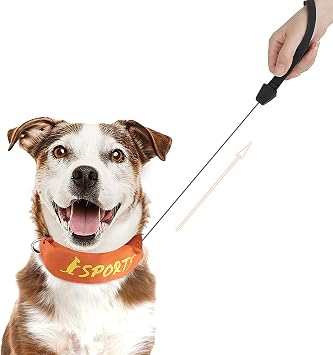 Dog Collars with Retractable Leash, 2 in 1 Dog Collar with Built-in Retractable Leash for Medium to Large Dogs Outdoor Hiking Walking, Orange L