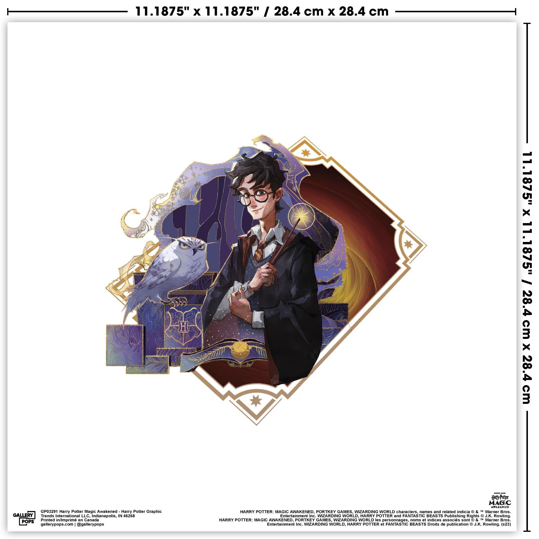 アート・デザイン・音楽 The Art of Harry Potter The Art of Harry