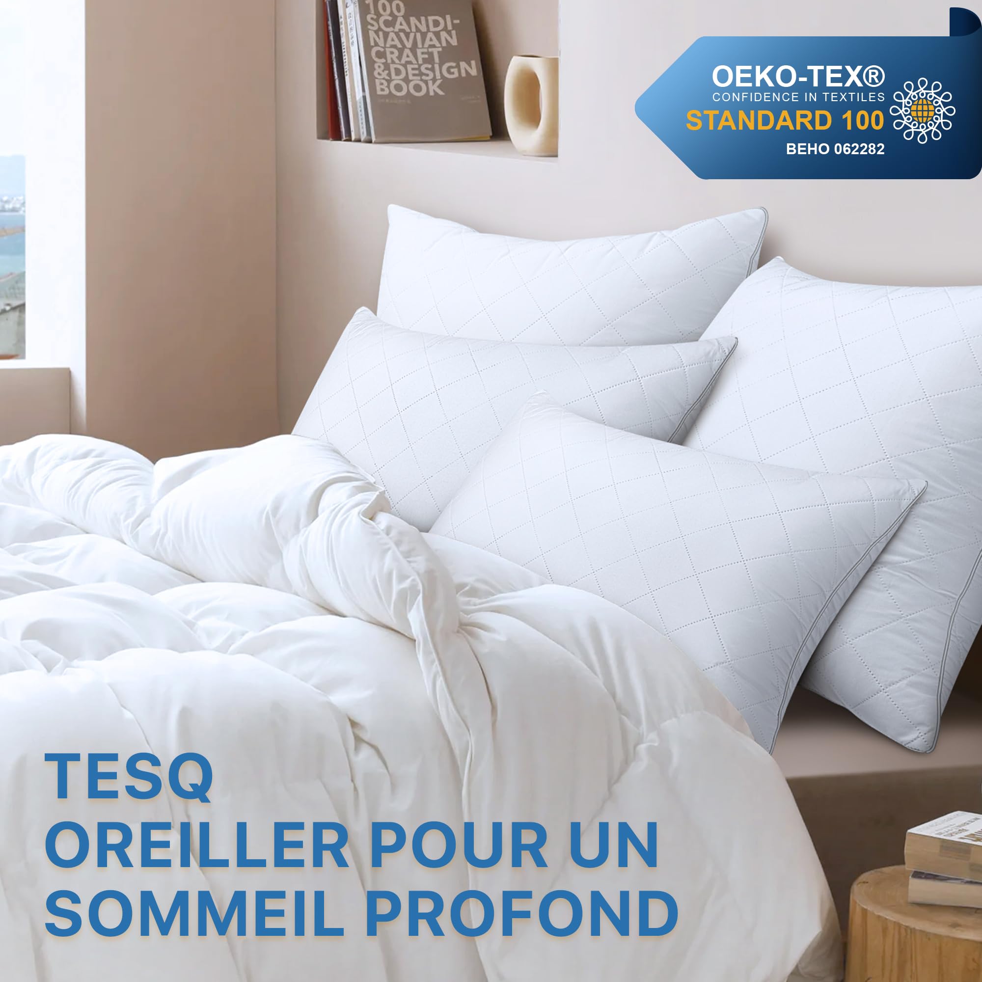 TESQ Oreiller 65x65 cm Lot de 2, Qualité Hôtelière, Certifié Oeko-TEX | Lavable, Confort Moelleux, Housse Respirante, Hypoallergénique, Adapté à Toutes Les Positions de Sommeil