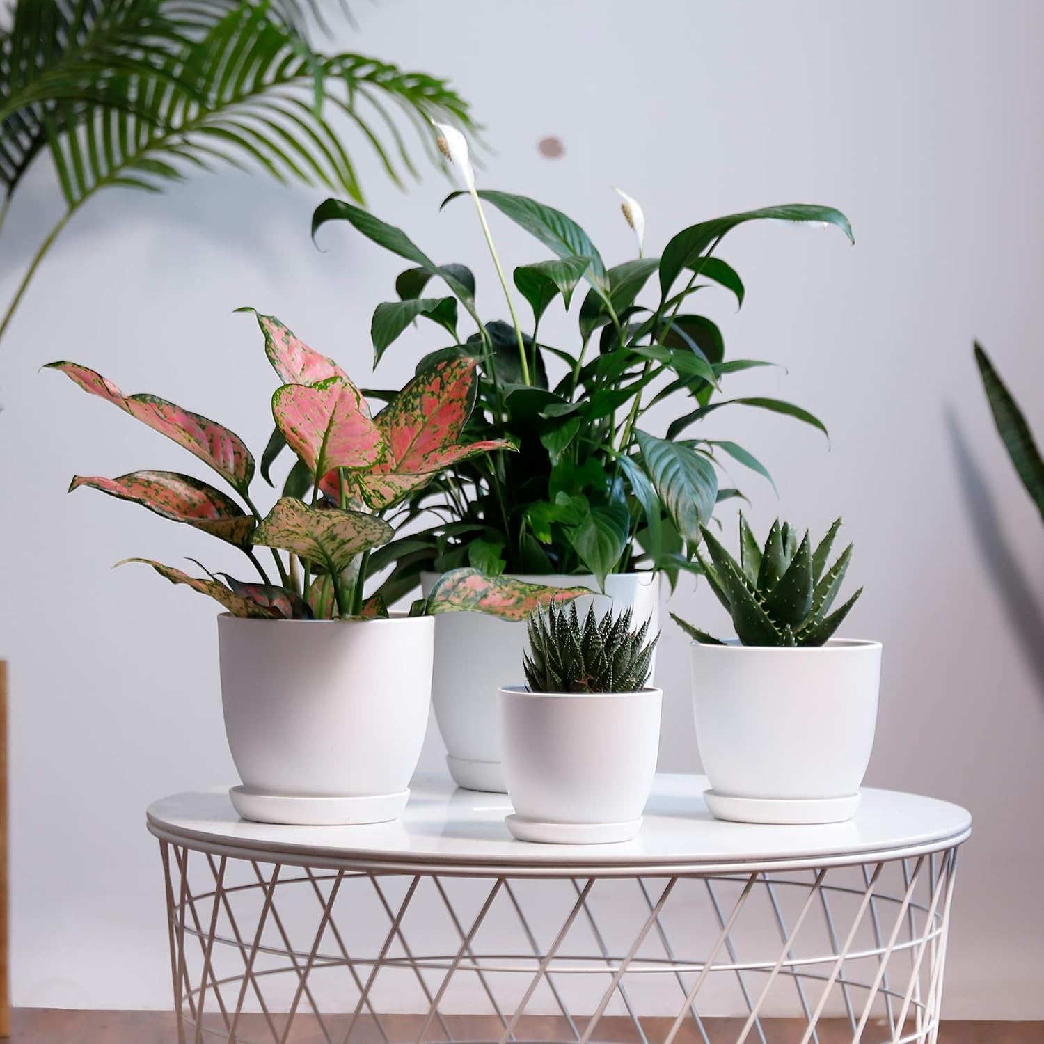 POTEY Plastic Plant Pot 7.5/6.3/5.5/4.5 Inch Modern Decorative Indoor Planter with Drainage Hole and Trays for All House Plants - 005, White, Set of 4