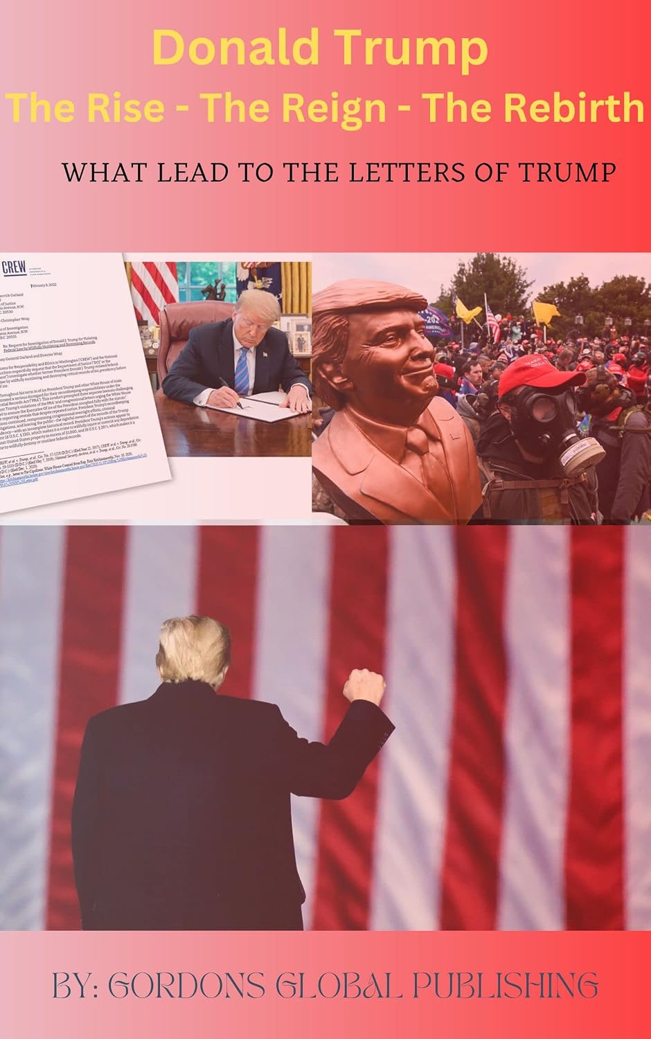 Donal Trump The Rise - The Reign - The Rebirth: What Lead To The ...