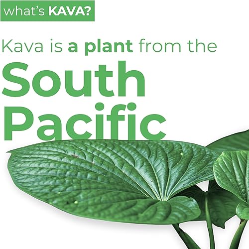 Vista 25 de Leilo Lite Calm in a Can Bebida espumosa de relajación con kava, completamente natural y sin azúcar ni gluten, sabor a coco y piña, 12 onzas