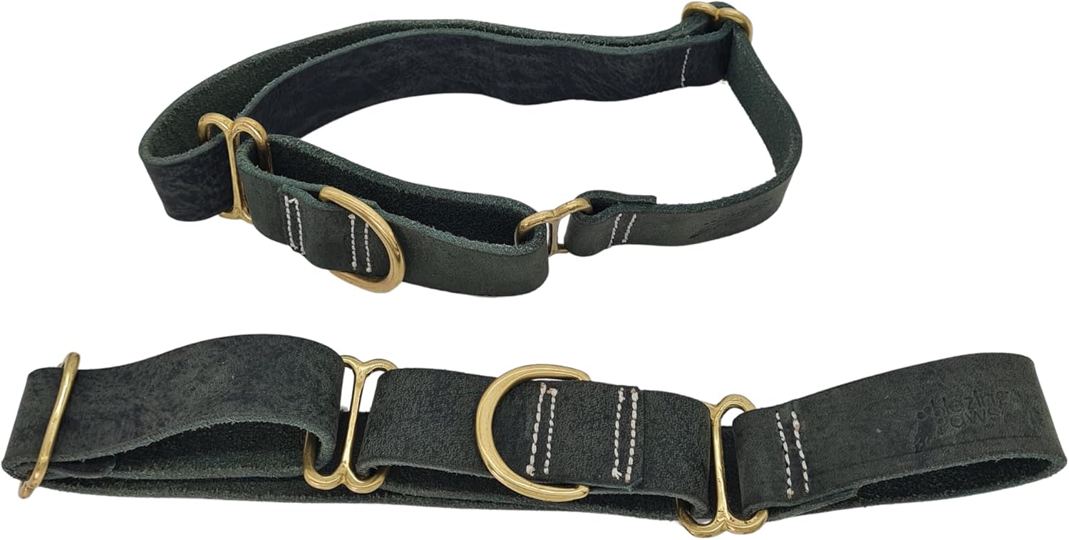 BlazingPaws® Vibrington Martingale Leather Dog Collar, Slip-On, Adjustable, for Large XL XXL Dogs, 1.5 Inch Wide in Colorful Thick Distressed Leather Shades (Hunter Green, L: Neck Size 15-19 Inches)