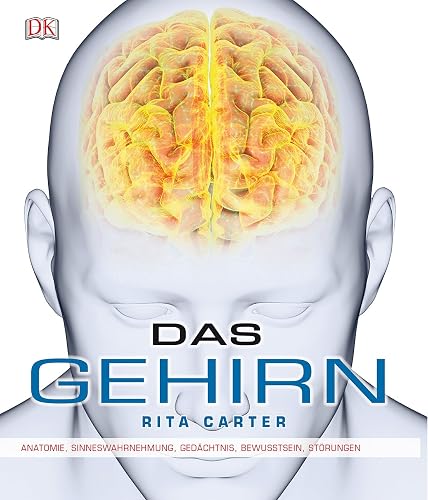 Das Gehirn: Anatomie, Sinneswahrnehmung, Gedächtnis, Bewusstsein, Störungen