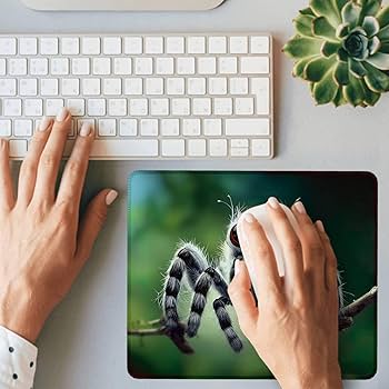 Amazon.co.jp: Wanmeishijie かわいいスパイダーマウスパッド