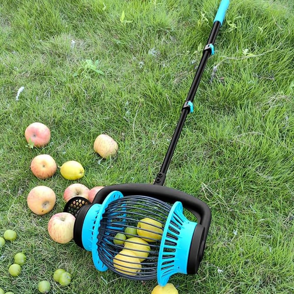 Recolector manual de frutos secos, bellota, castañas y frutas duras para jardín, parque y exteriores, cosecha rápida de nueces y castañas de nogal