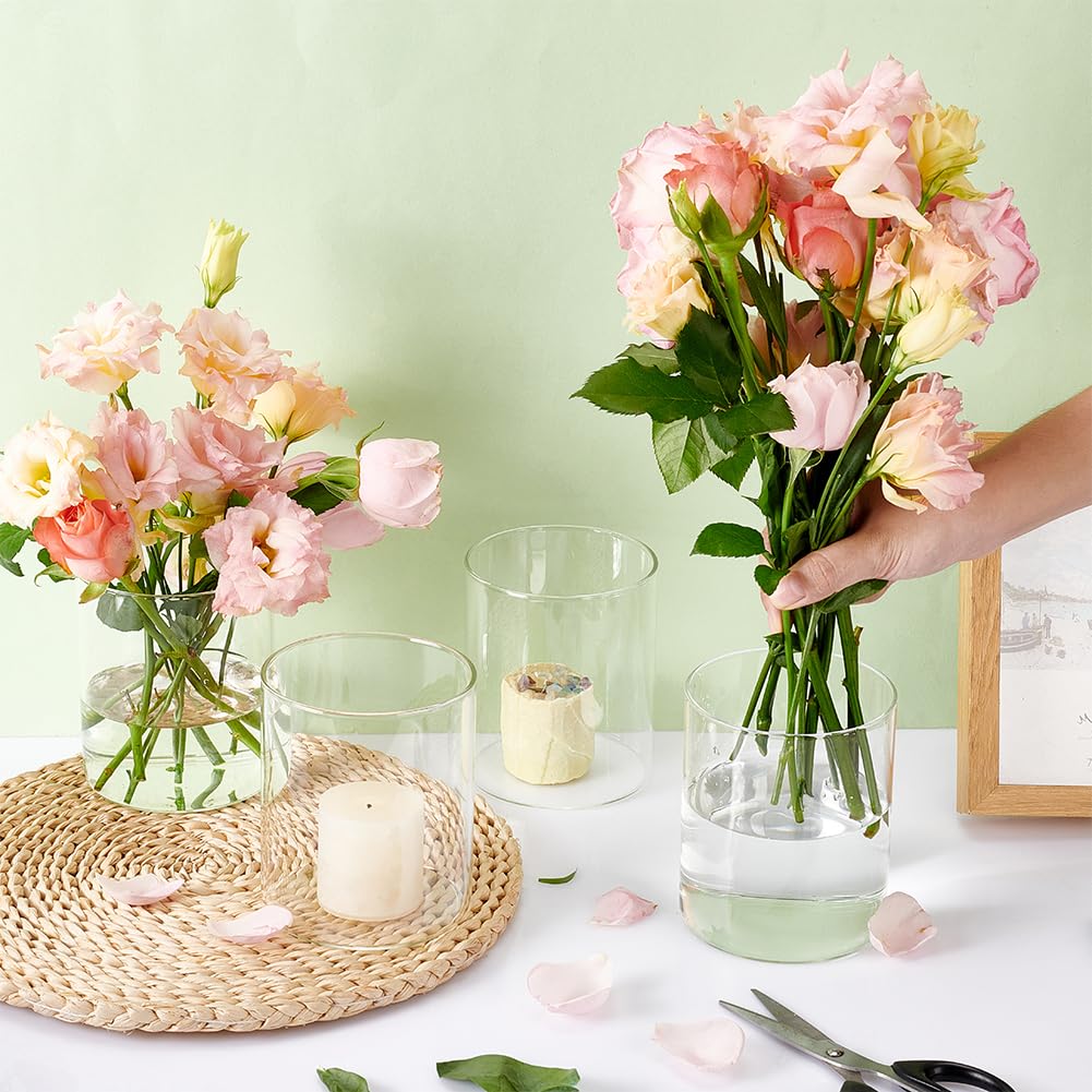 BENECREAT Glasvasen Set – 6 Stück, Zylindrisch, 10,2 Cm Hoch, Transparent Für Blumen & Deko