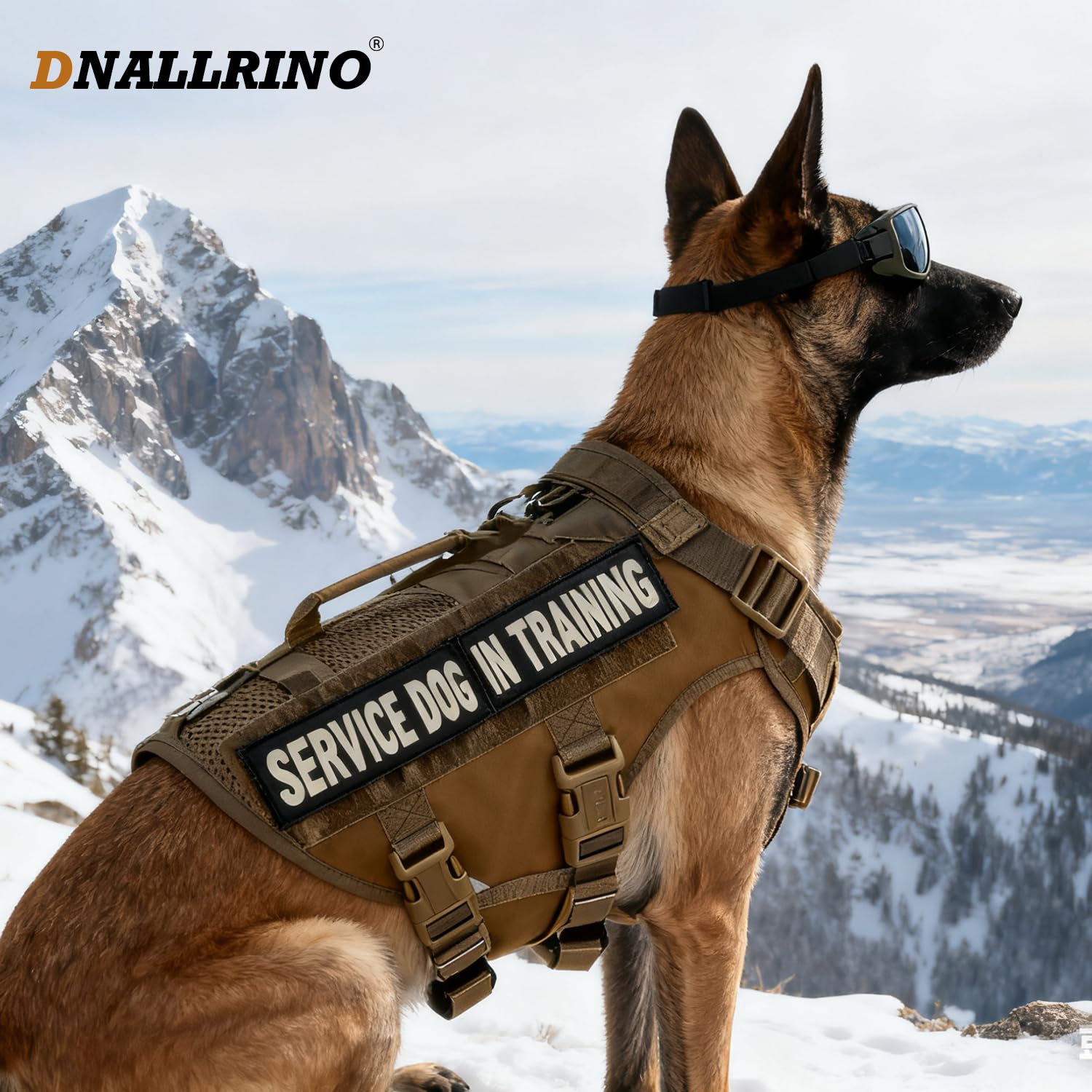 Arnés táctico para perros medianos y grandes, arnés de malla transpirable para perro, chaleco militar con dos asas, paneles grandes de velcro para parche de bricolaje con hebilla sin tirones