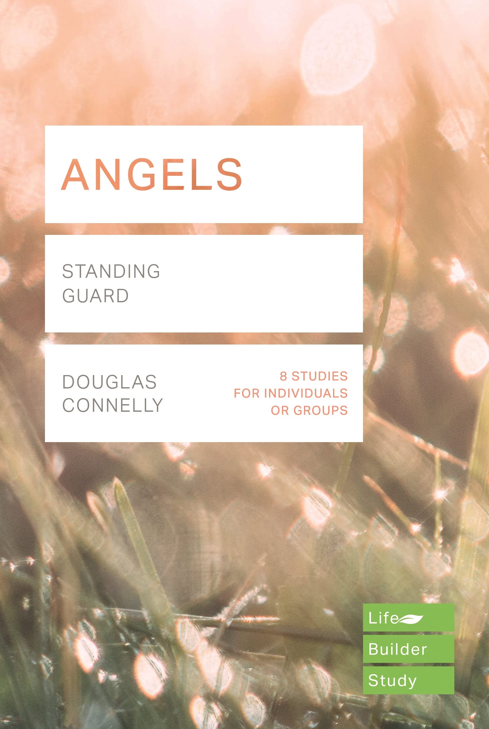 Angels (Lifebuilder Study Guides) by Douglas Connelly - 9781783597888
