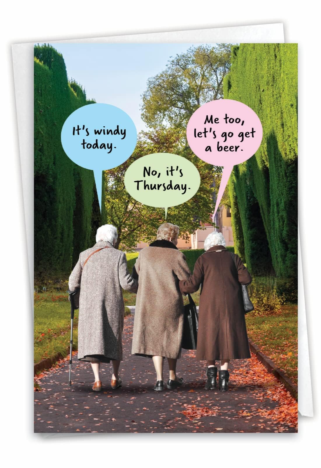 NobleWorks Funny Old Ladies Birthday Greeting Card For Women, Sister, Best Friend with 5 x 7 Inch Envelope (1 Card) Bday It's Windy C10254BDG