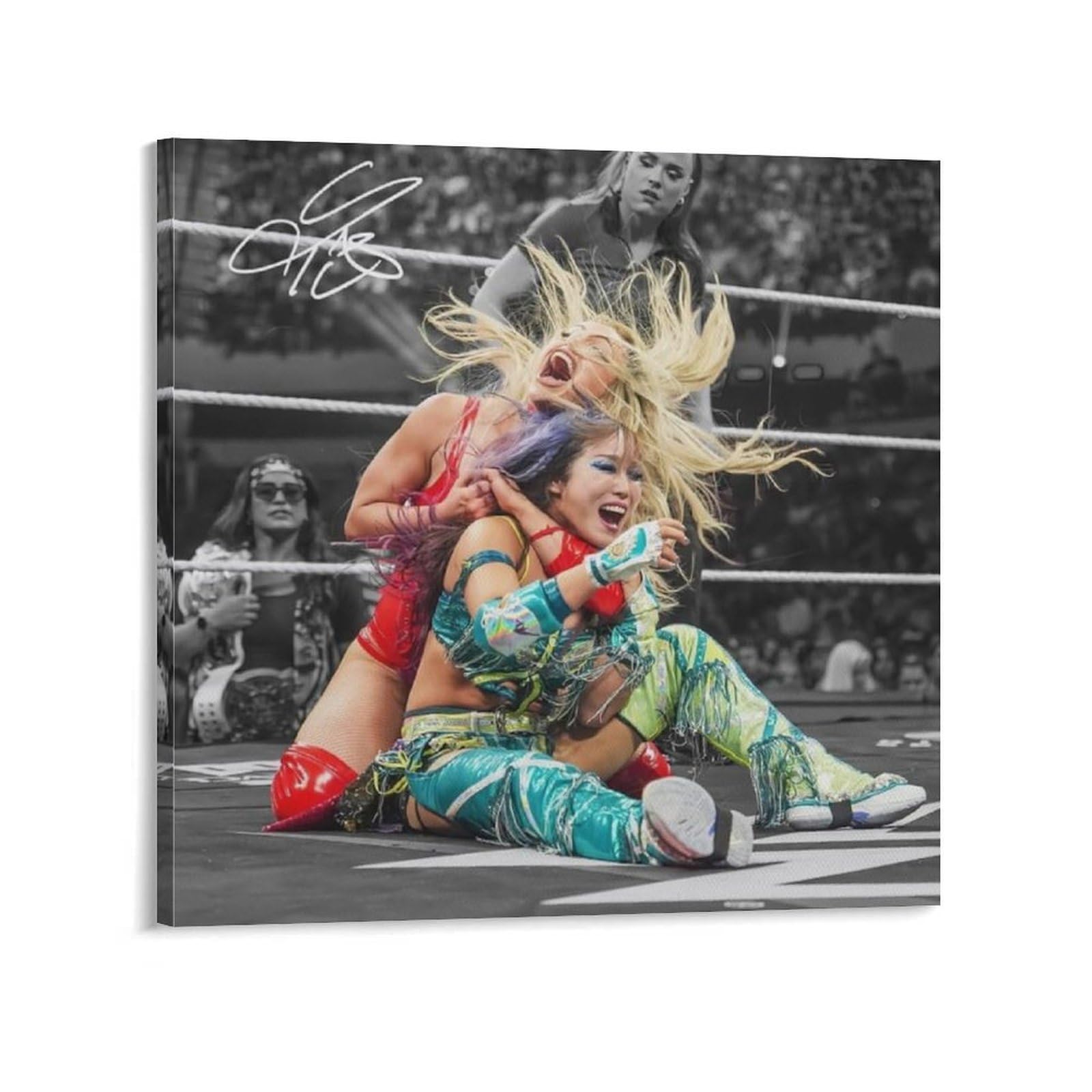 FCOIN Liv Morgan Canvas Poster Posters Wall Art Painting Canvas Prints Decor Poster Artworks 28x28inch(70x70cm)