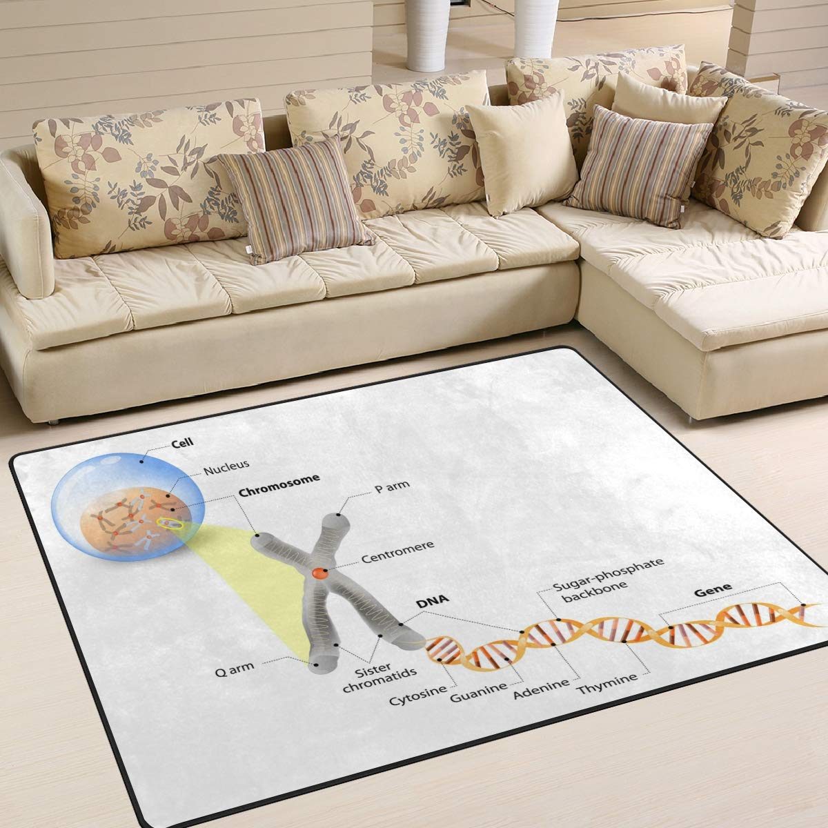 Use7 Cell Chromosome DNA and Gene Area Rug Rugs for Living Room Bedroom 160cm x 122cm(5.3 x 4 feet)