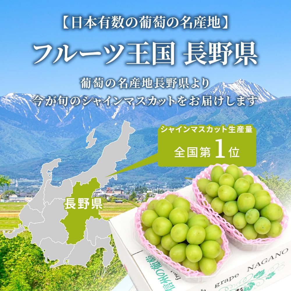 Amazon.co.jp: 【極甘】 収穫量日本一 長野県産 シャインマスカット 1