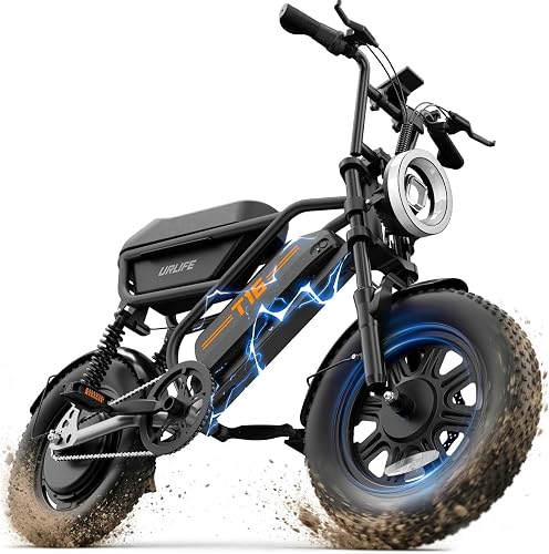 URLIFE 1000W电动自行车 48V 13AH胖胎