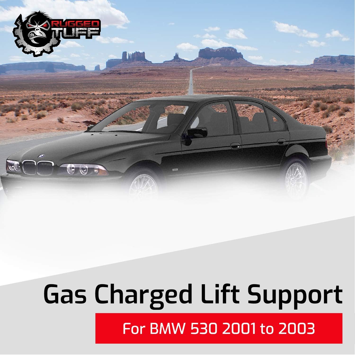 Lift Support Shocks Struts for 1997-2006 BMW 525i 528i 530i 540i M5 5-Series E39 Rear Trunk Lid Gate Gas Springs Arms Pair SG301017 SG402050 51248222913 (2 Qty)